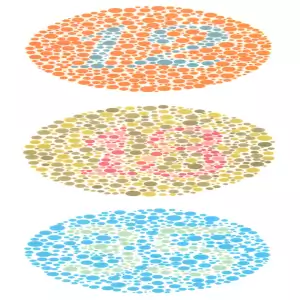 Ishihara Colour Vision Chart